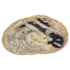 Beige With Black Accents Petrified Wood Platter, Indonesia, Contemporary