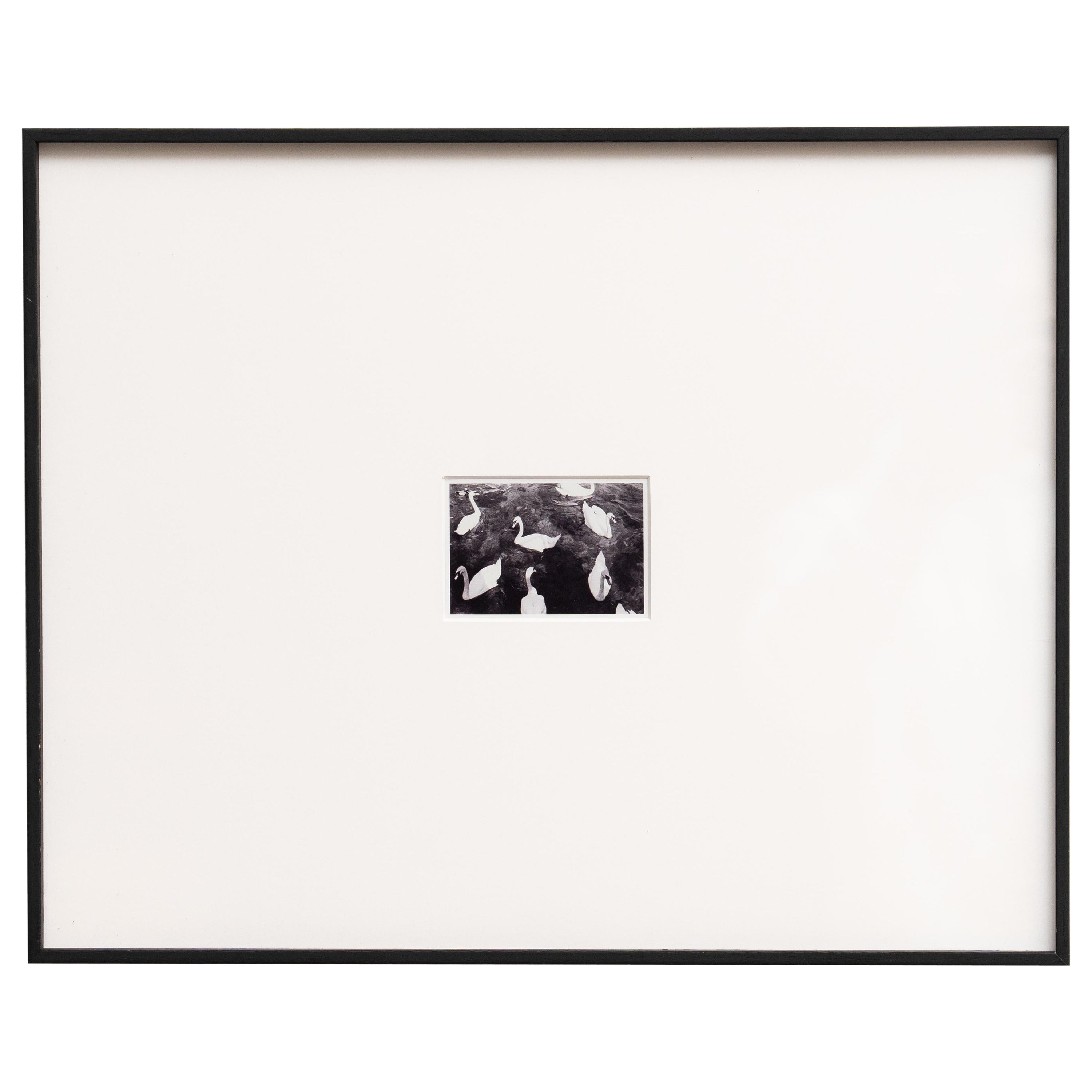 A. Pascal e Vastian, Fotografia in bianco e nero con cornice