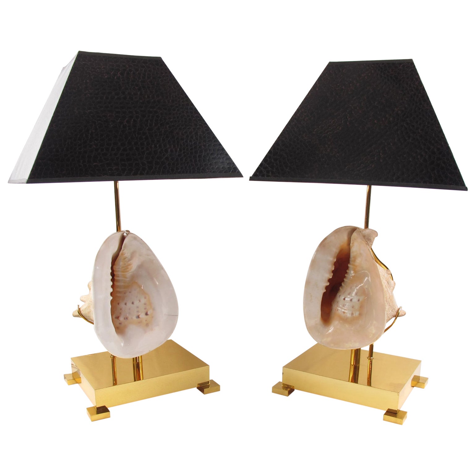 Willy Daro Brass Table Lamps with Mounted Seashell, a pair For Sale