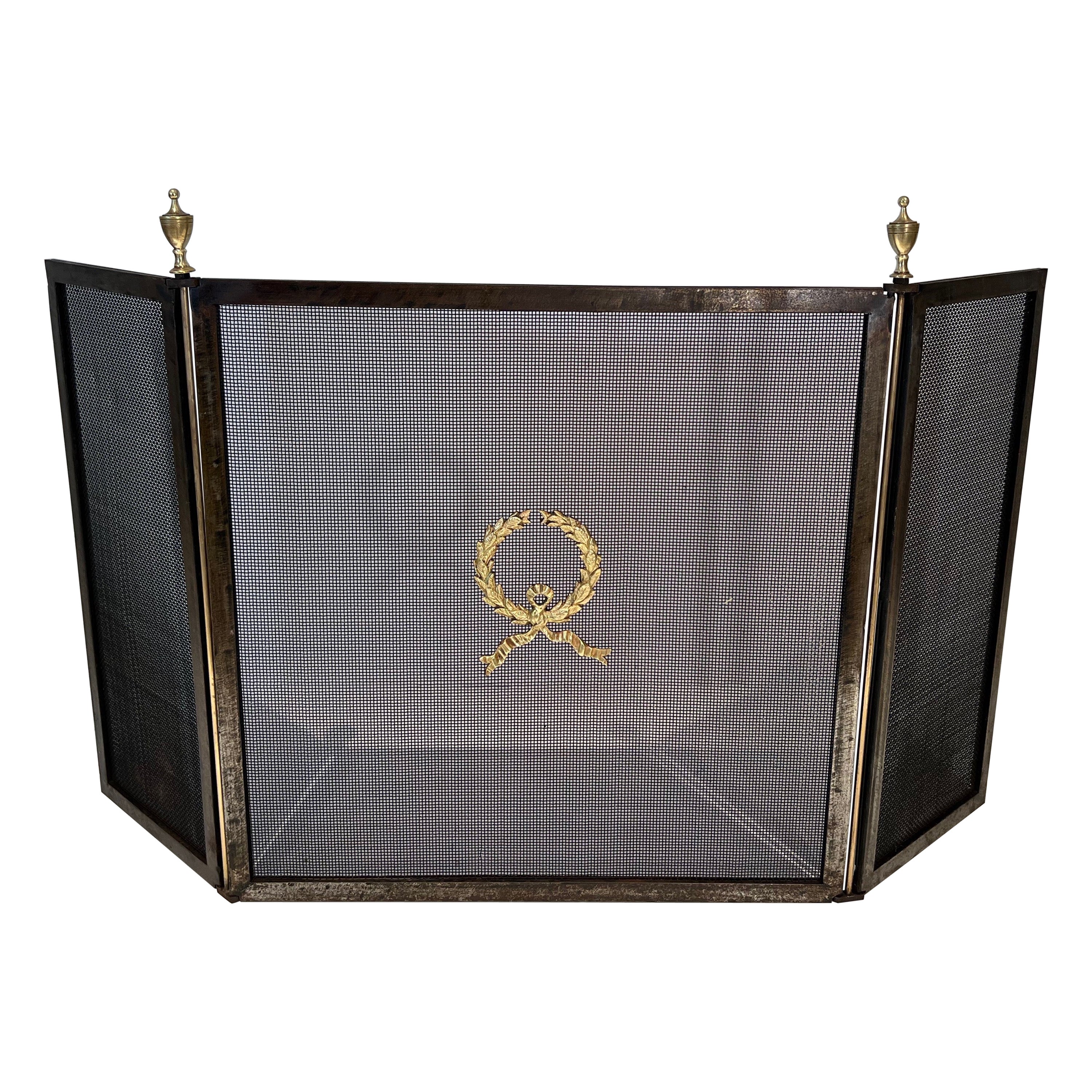 Neoclassical Style Stell, Brass and Grilling Fireplace Screen  For Sale