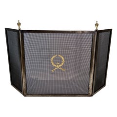 Vintage Neoclassical Style Stell, Brass and Grilling Fireplace Screen 