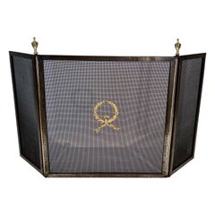 Neoclassical Style Stell, Brass and Grilling Fireplace Screen