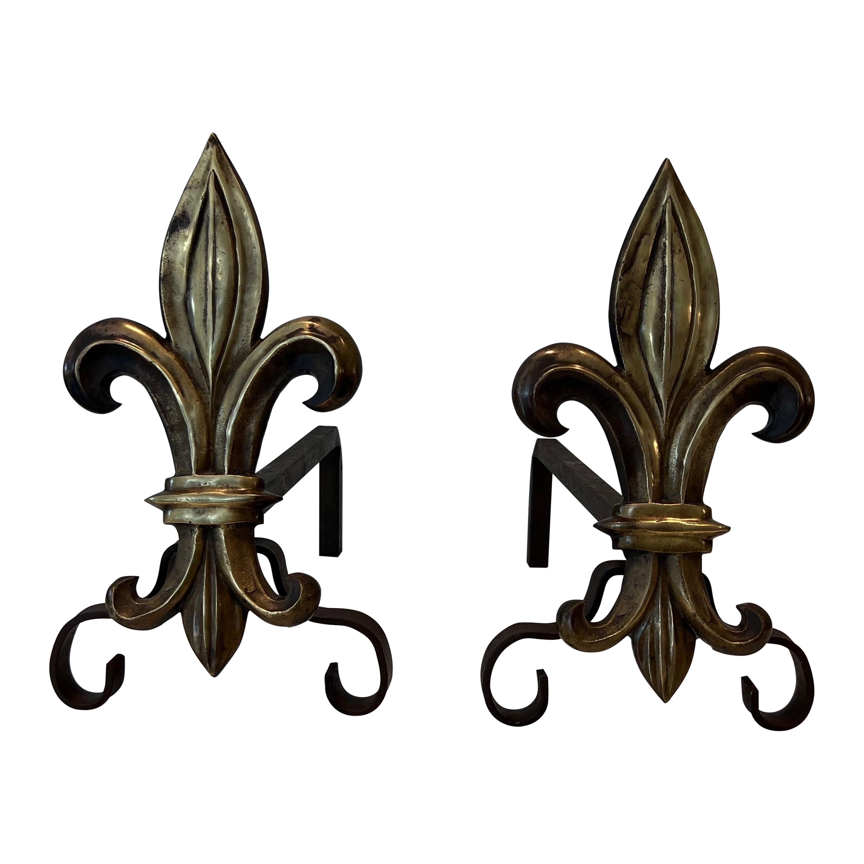 Paire de chenets en bronze et fer forgé avec une fleur de lys