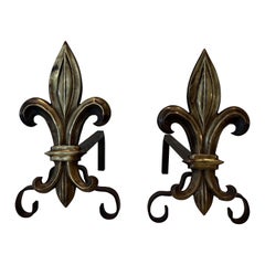 Pair of Bronze and Wrought Iron Andirons with a Lily Flower
