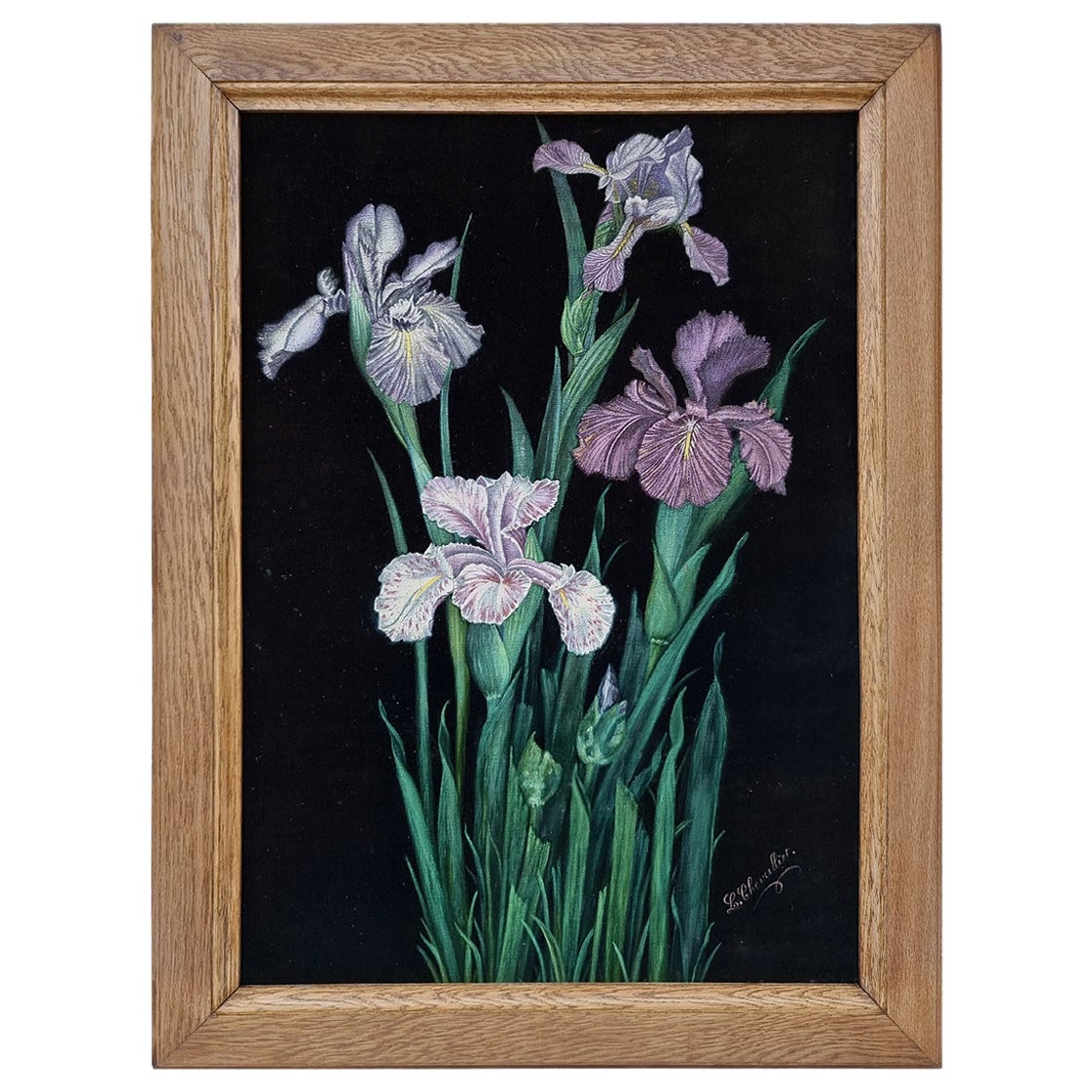"Irises Flowers" By L. Chevallier, Oil On Black Velvet, circa 1930 For Sale