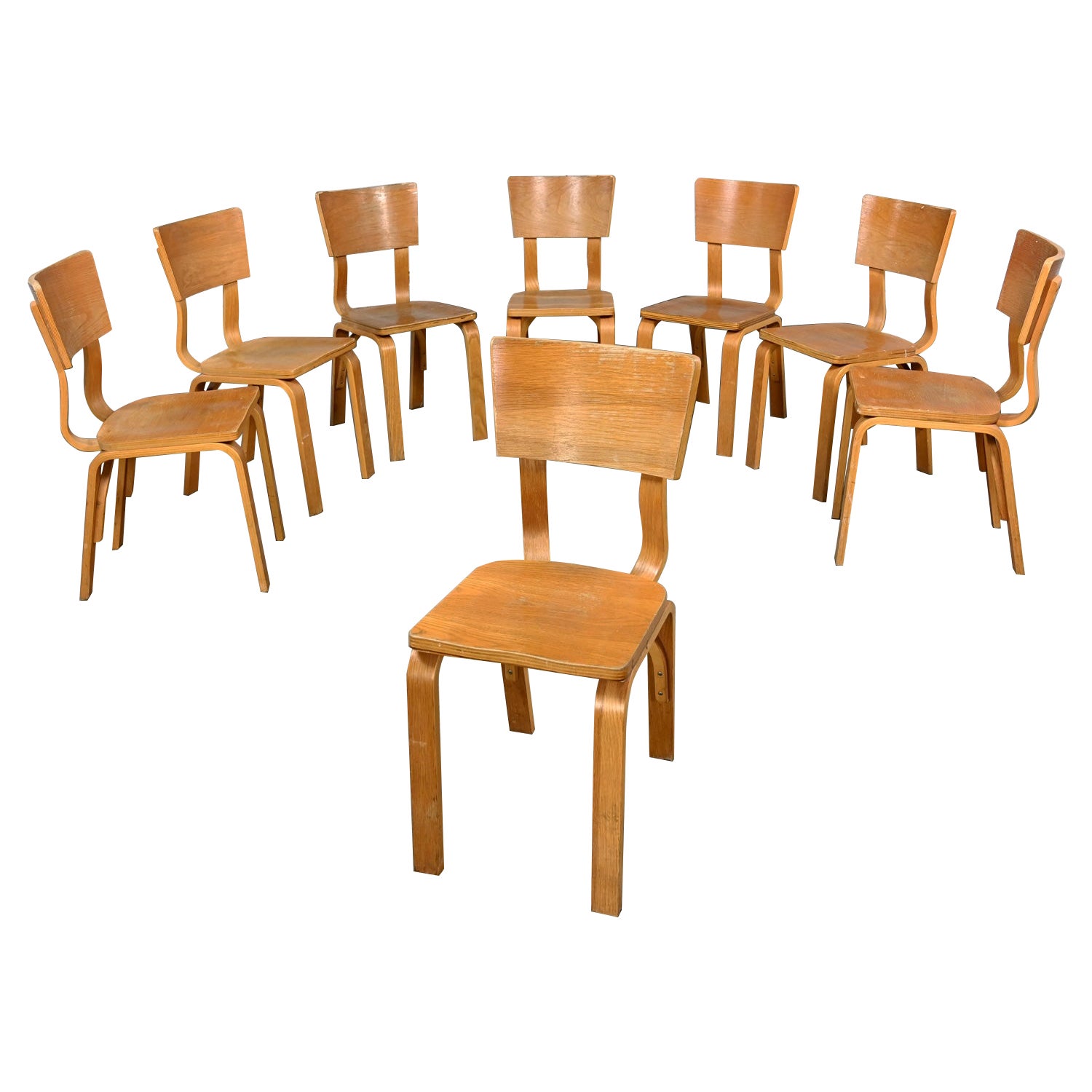 Satz von 8 MCM Thonet #1216 Esszimmerstühlen, gebogene Eiche, Sperrholz, Sattelsitz, Einzelschleife im Angebot