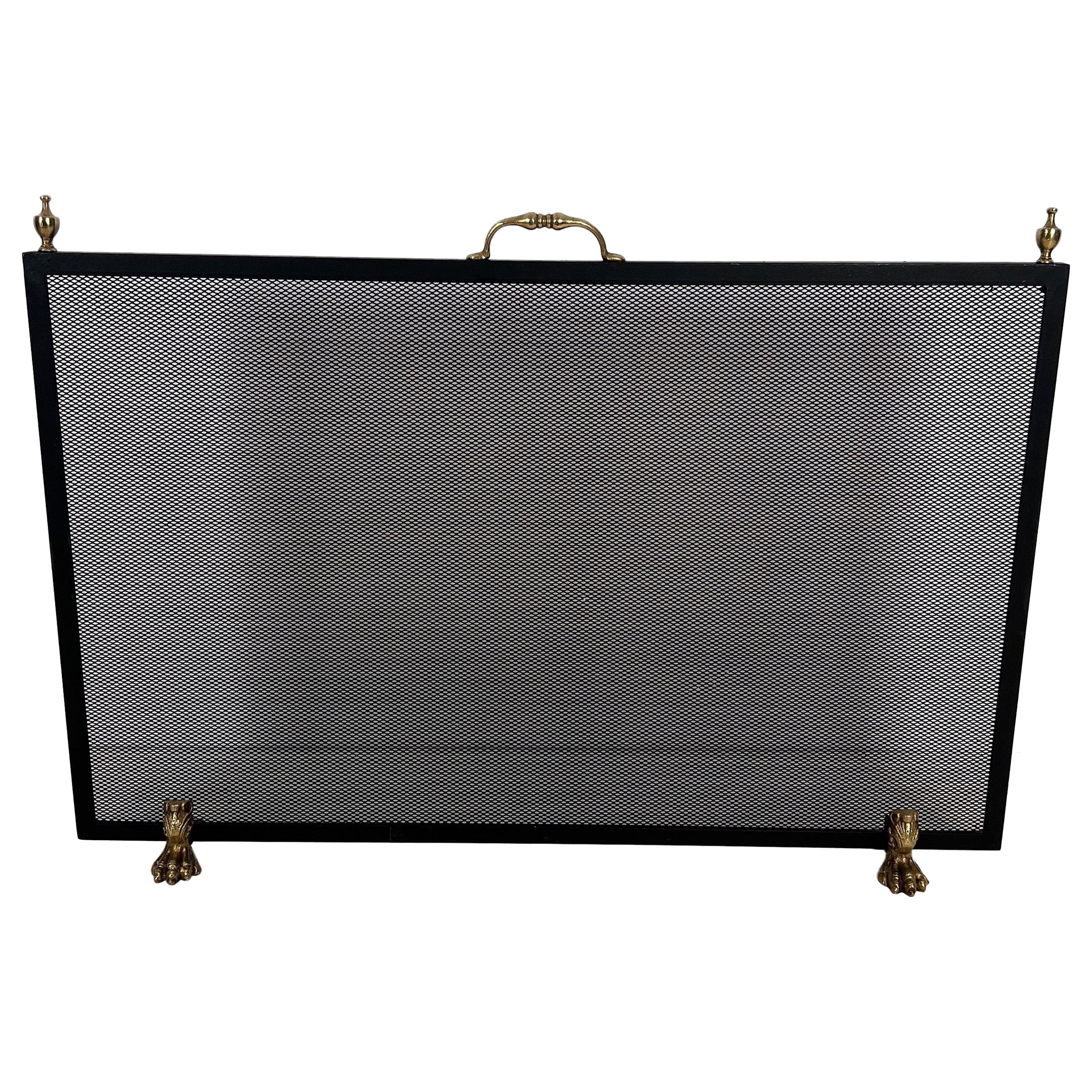 Neoclassical Style Steel, Brass and Grilling Fireplace Screen with Claw Feet