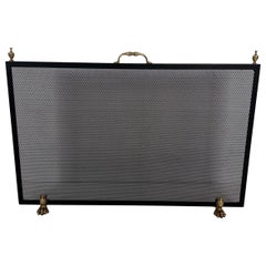 Vintage Neoclassical Style Steel, Brass and Grilling Fireplace Screen with Claw Feet