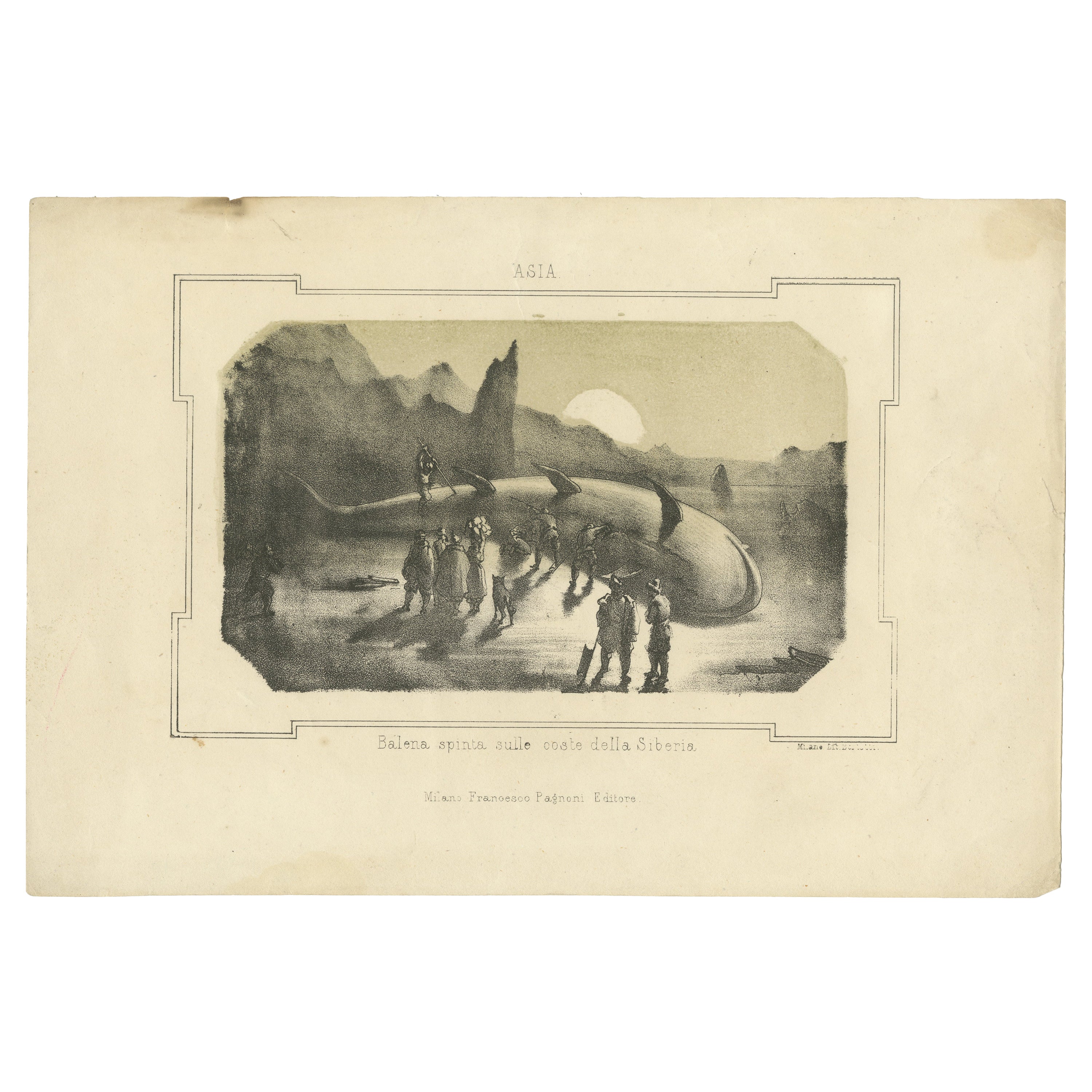Maritime Wonders: Beached Leviathans of the 19th Century in Siberia, circa 1850 For Sale