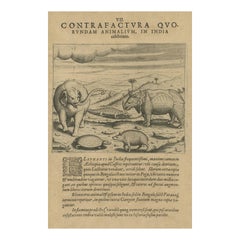 Gravure originale en cuivre de divers animaux célèbres en Inde par De Bry, 1601