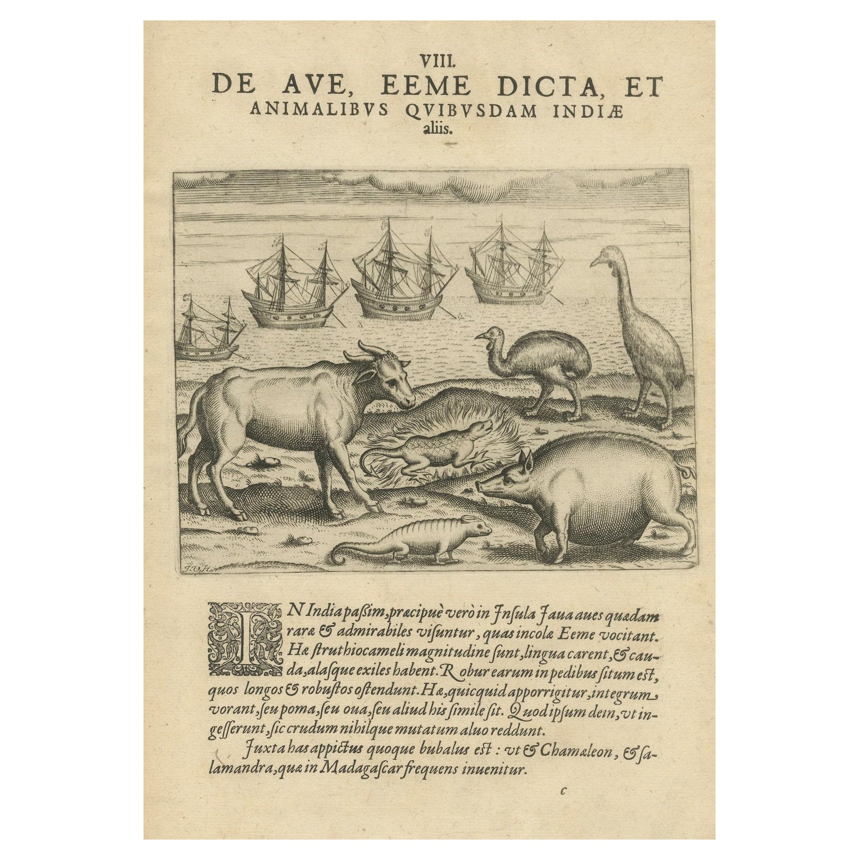 Rare Creatures of the East: A 1601 de Bry Copper Engraving from the Indies