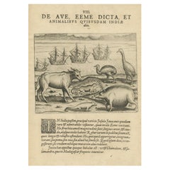 Antique Rare Creatures of the East: A 1601 de Bry Copper Engraving from the Indies