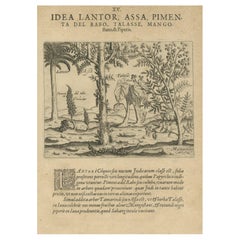 Verdant Wonders: Exotische Bäume und Gewürze Indiens in De Brys Illustration von 1601