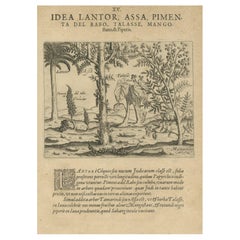 Meraviglie Verdeggianti: Alberi esotici e spezie dell'India nell'illustrazione di De Bry del 1601