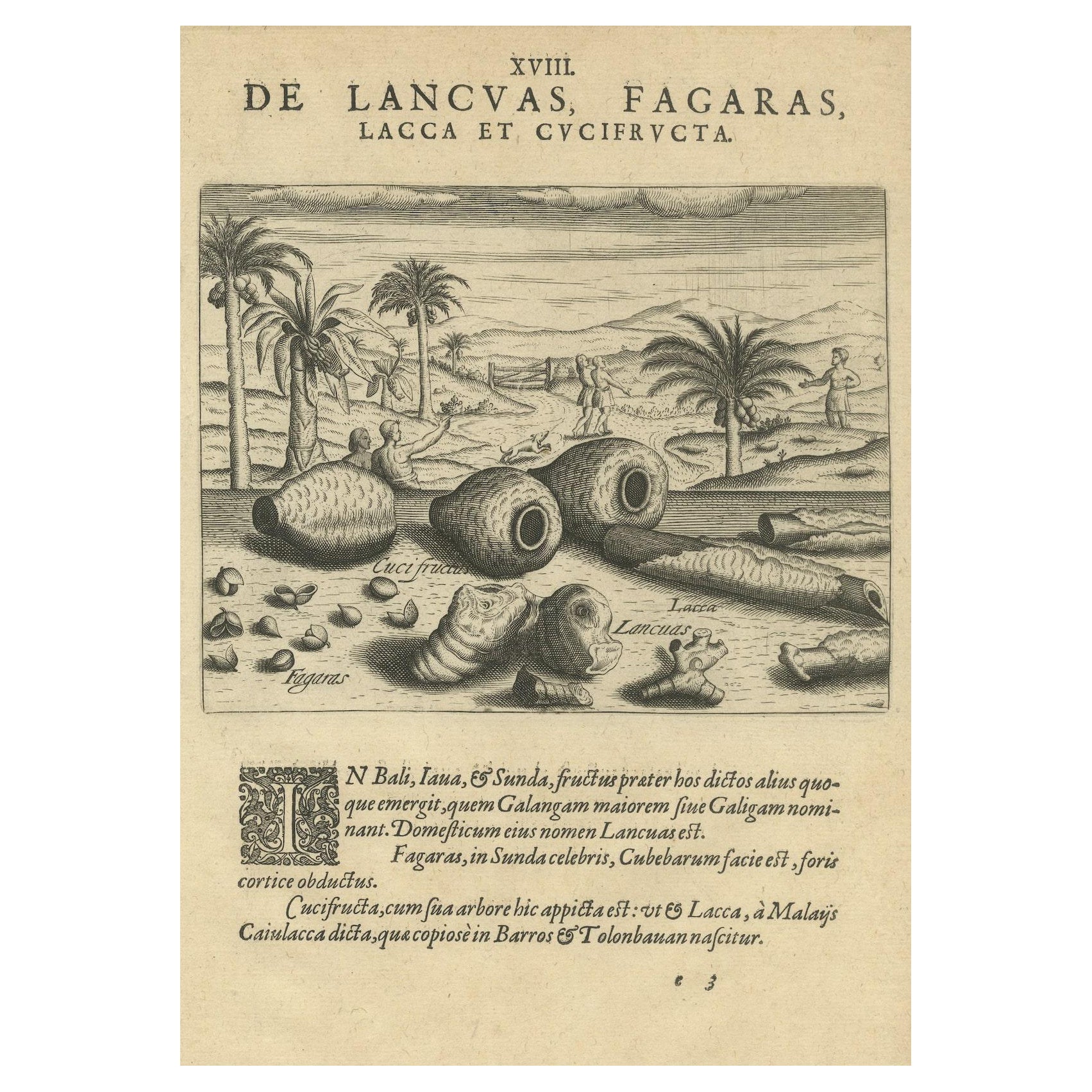 Treasures of the Tropics: Lac, Lancas, and Fagaras in De Bry's 1601 Engraving For Sale