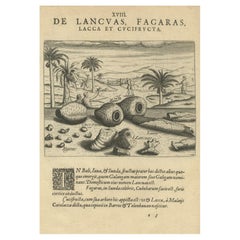 Antique Treasures of the Tropics: Lac, Lancas, and Fagaras in De Bry's 1601 Engraving