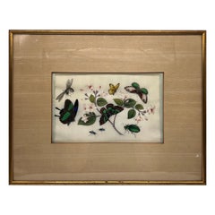 19th Century Chinese Export Butterfly & Insect Pith Watercolor 