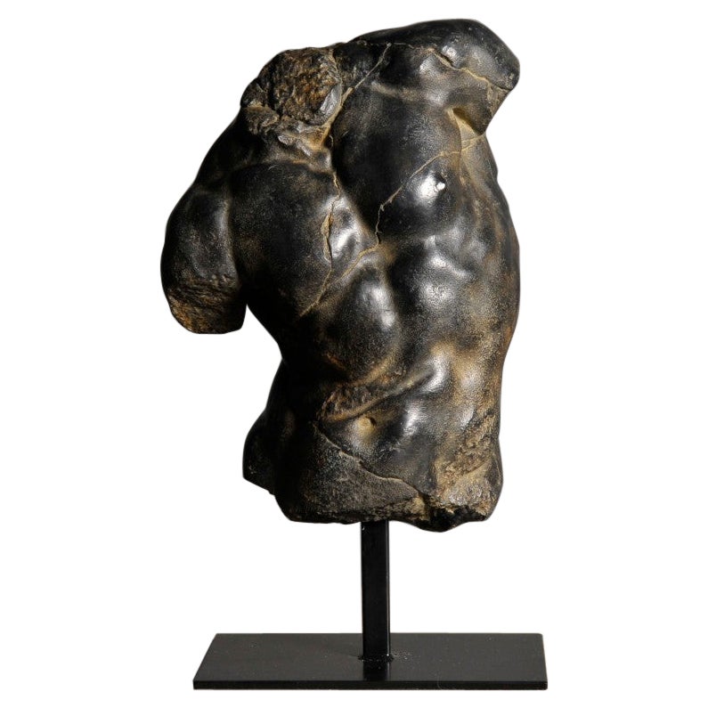 Apollo Torso Small