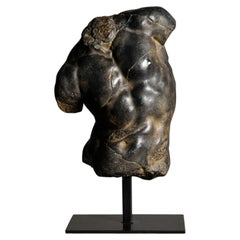 Apollo Torso Small