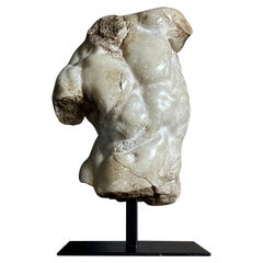 Apollo Bust Small
