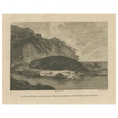 Antique Print of a Sea Otter of Nootka Sound in British Columbia, Canada, 1801