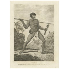 Wachsamkeit in den Tropen: The Spear-Thrower of New Caledonia, 1801