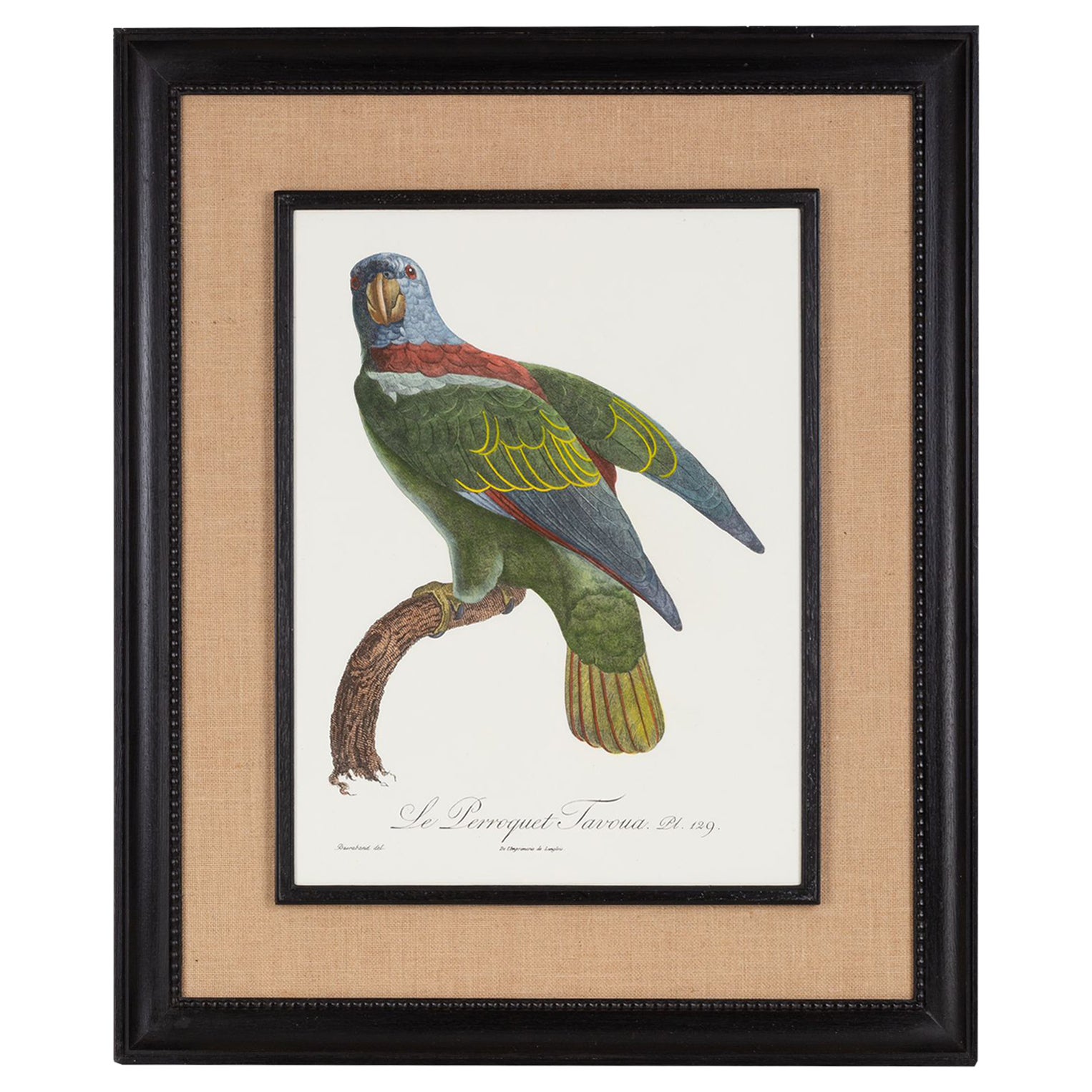 Italian Contemporary HandColored Print "Le Parroquet" Wood and Jute Frame 2 of 2