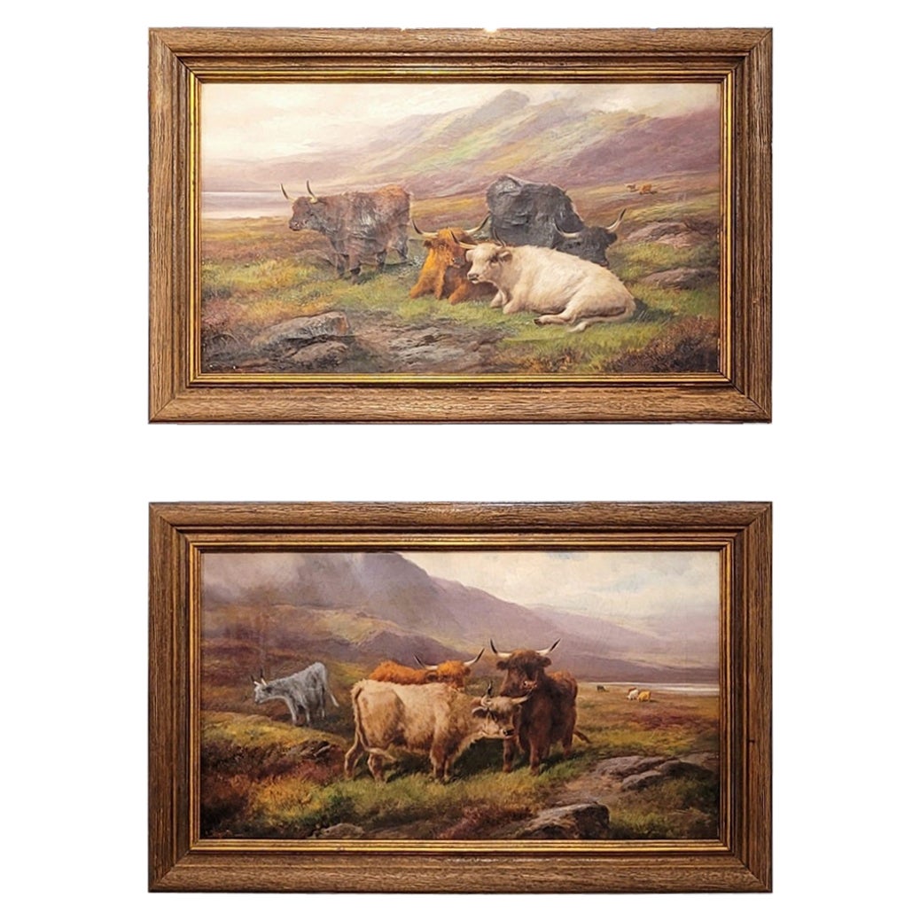 Paire d'huiles sur toile de Highland Cattle par John W Morris, datant du 19e siècle en vente
