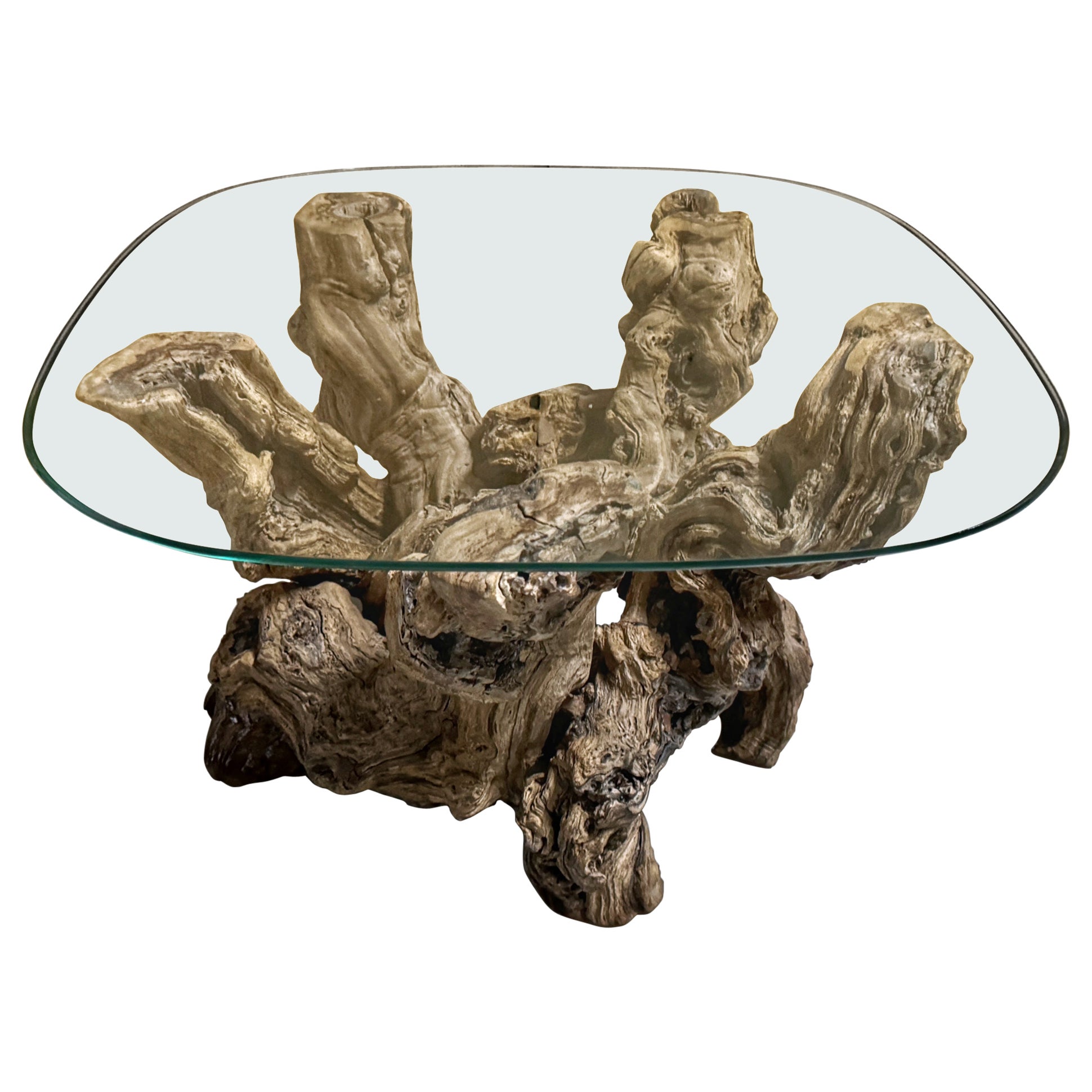 Mid Century Modern Organic Grape Vine Coffee Table  For Sale