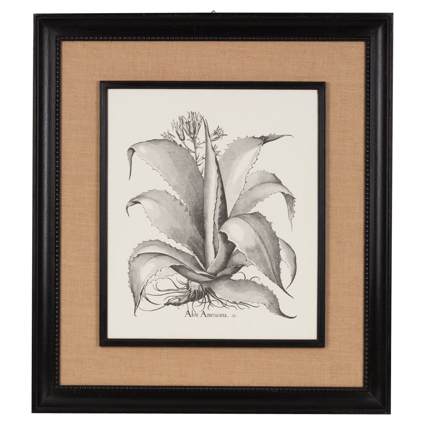 Italian Contemporary HandCrafted Print "Aloe America" Wood and Jute Frame 1 of 2 For Sale