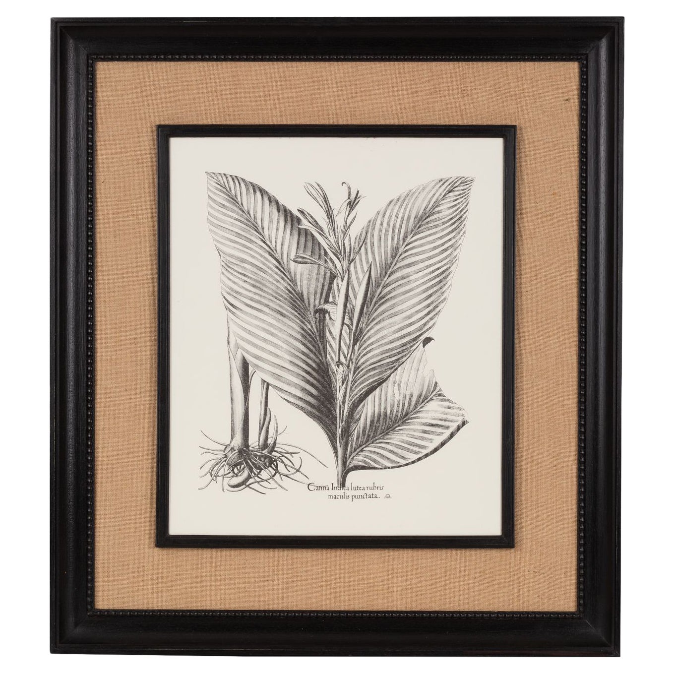 Italian Contemporary HandCrafted Print "Canna Indica" Wood and Jute Frame 2 of 2 For Sale