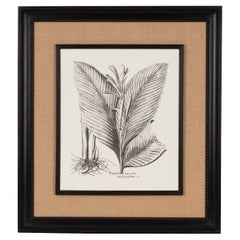 Italian Contemporary HandCrafted Print "Canna Indica" Wood and Jute Frame 2 of 2