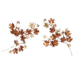 Scultura da parete vintage "Maple Leaf" di Curtis Jere