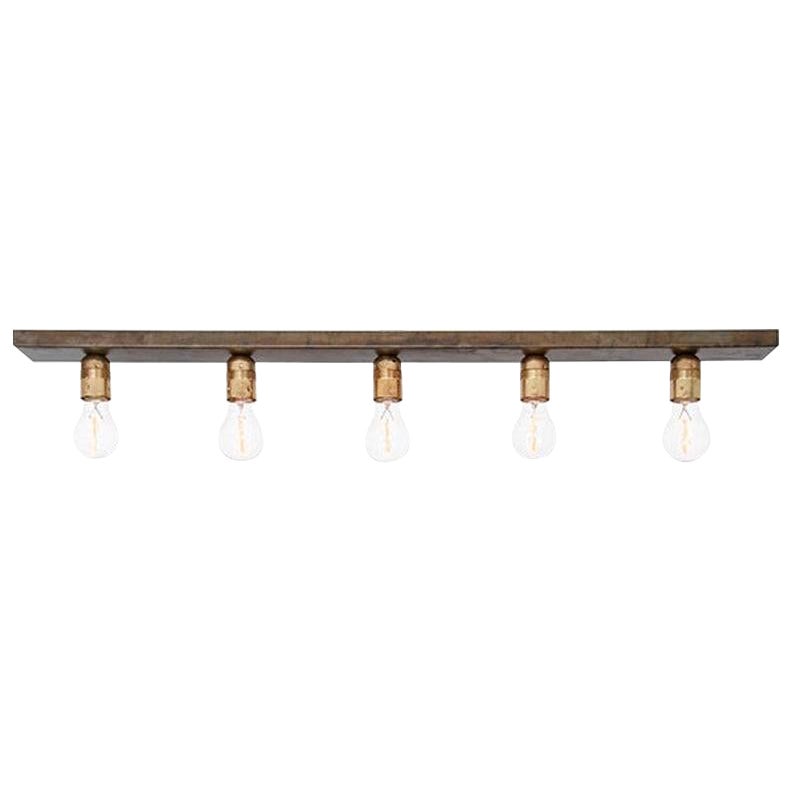 Konsthantverk Raad Raw Brass and Oxidized Iron Ceiling Lamp For Sale