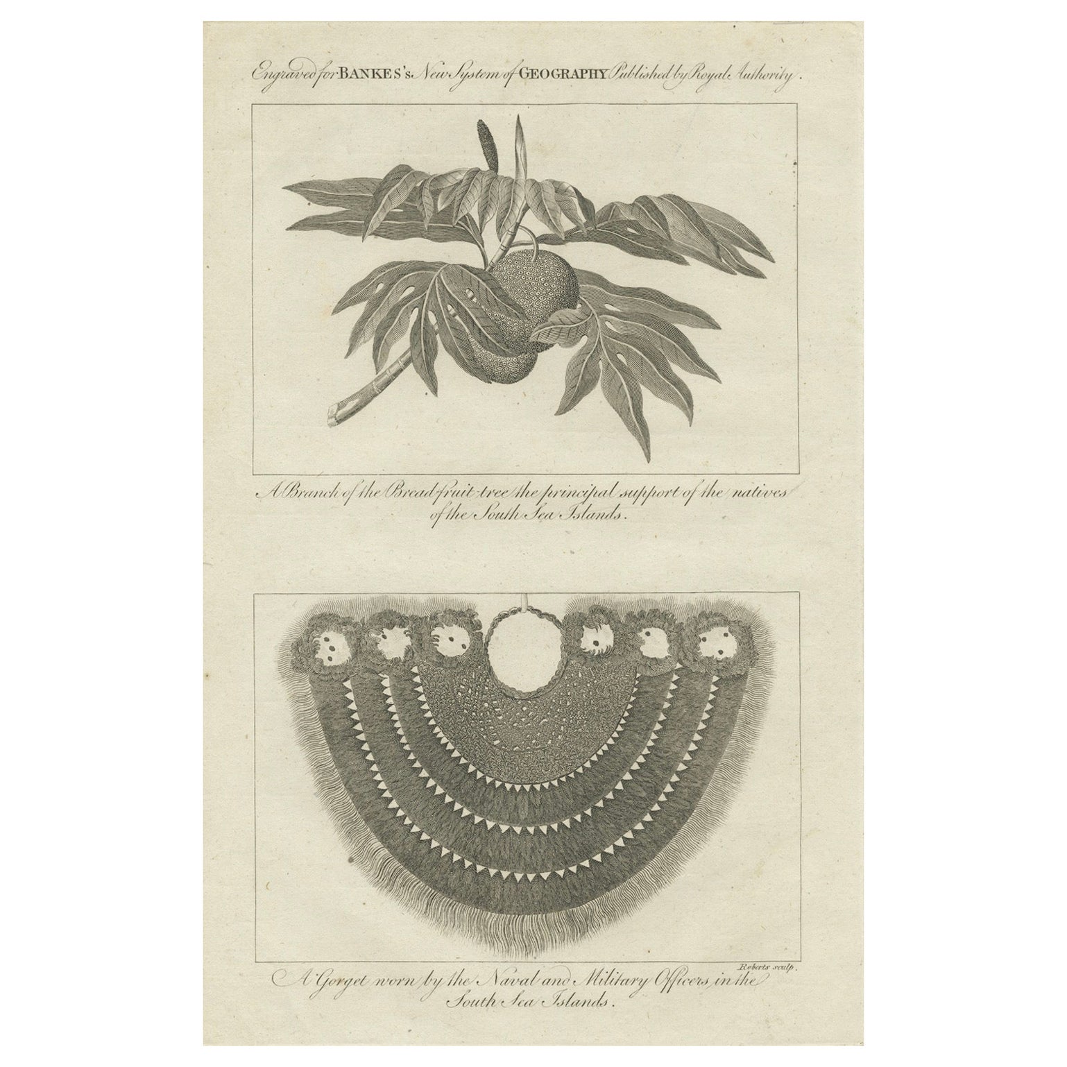 The Breadfruit Tree and Gorget: Symbols of Life and Leadership in the Pacific For Sale