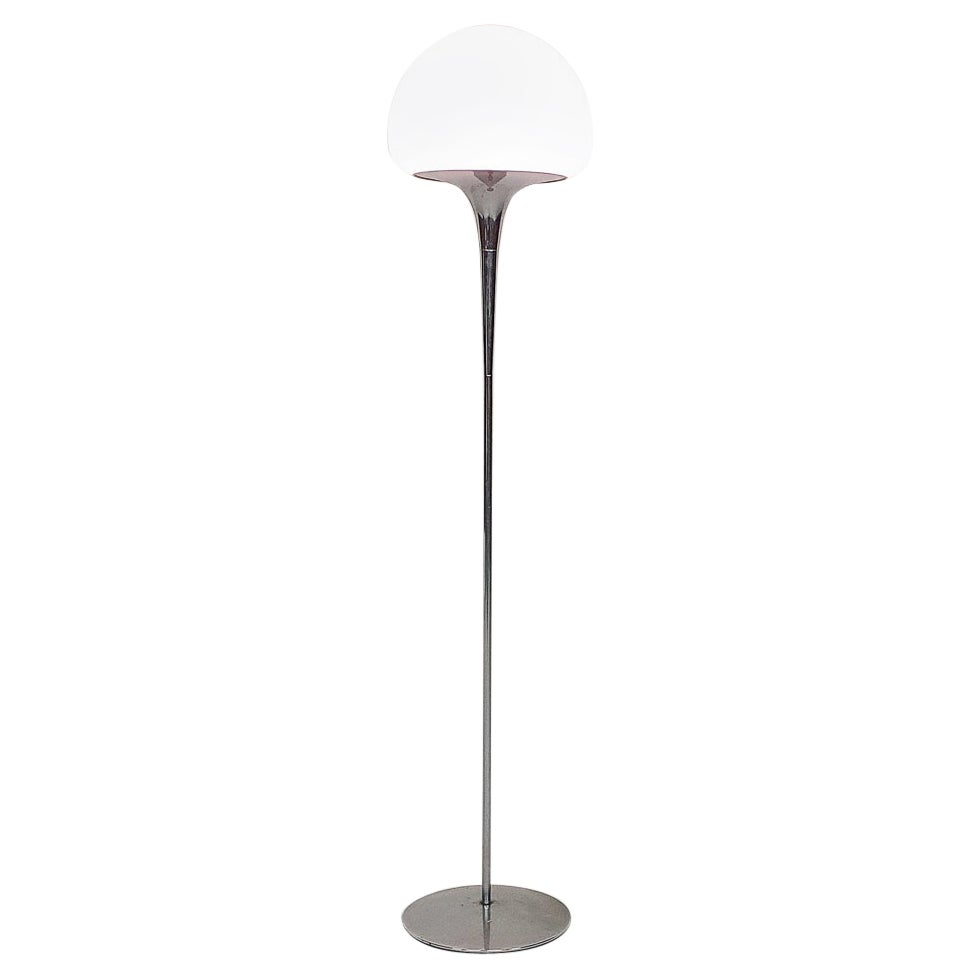 Opaline Glass and Chrome Floor Lamp by Goffredo Reggiani, Italy 1960's For Sale