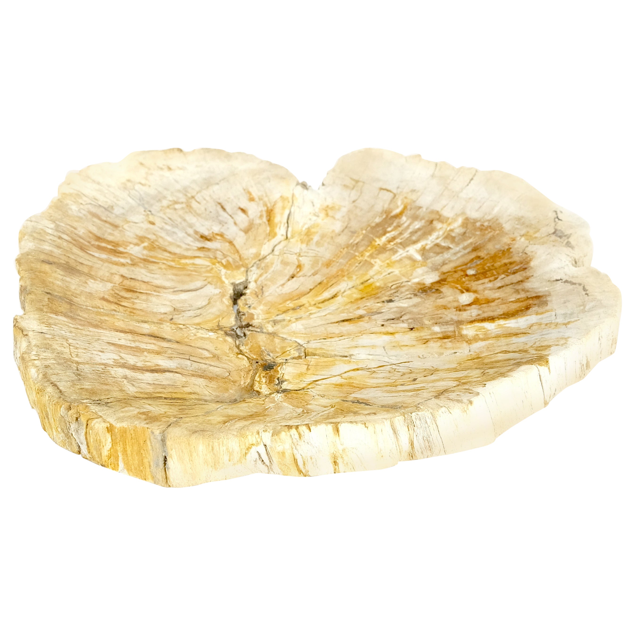 Petrified Wood Round Shape Tan & Amber Oval Bowl Dish Large Plate Ashtray For Sale