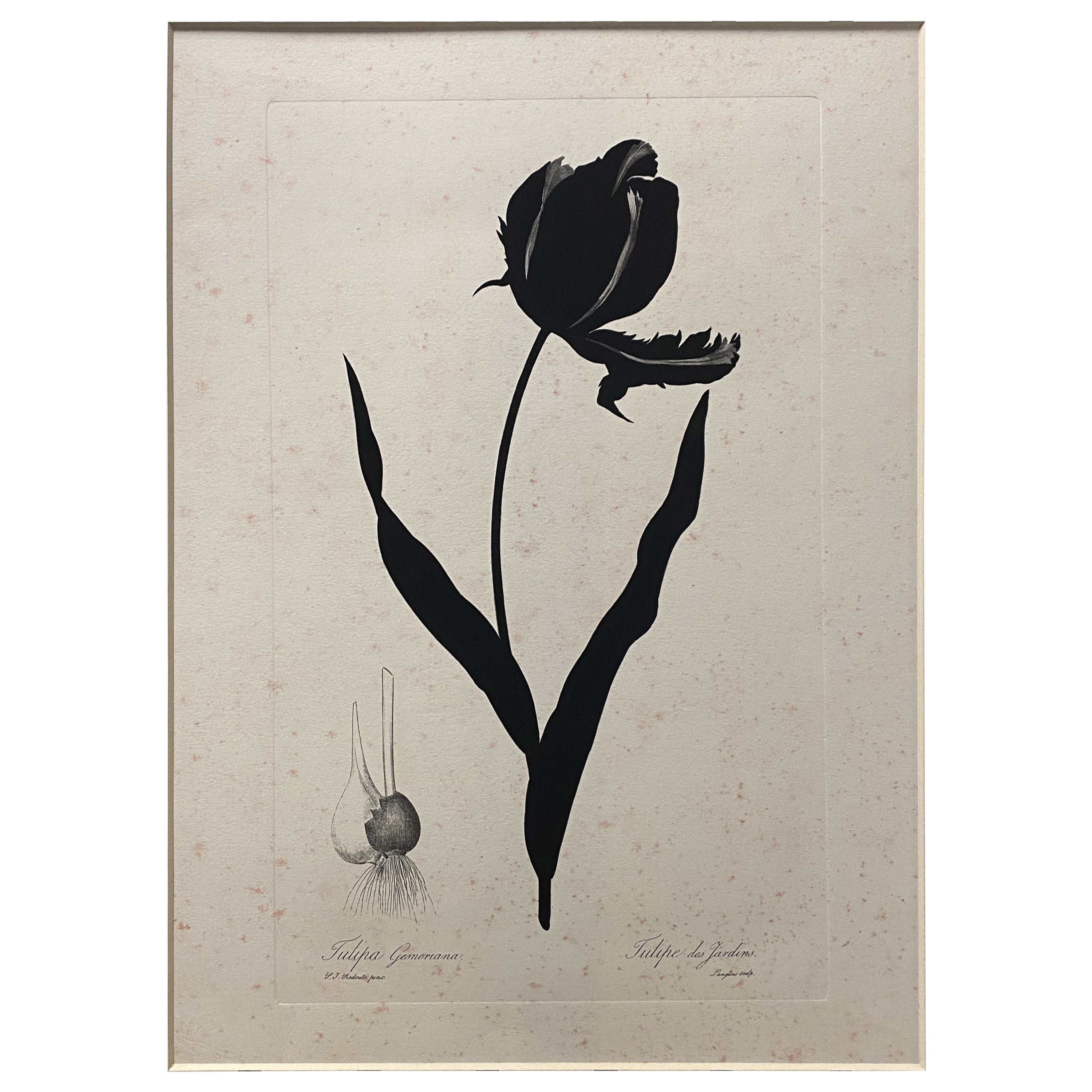 Hand-Painted Italian Contemporary Hand Painted Botanical Black Print 