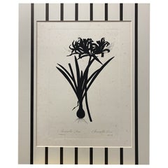 Italian Contemporary Hand Painted Botanical Black Print "Amaryllis Aurea"