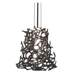 Morphogen Pendant Lamp by John Brevard