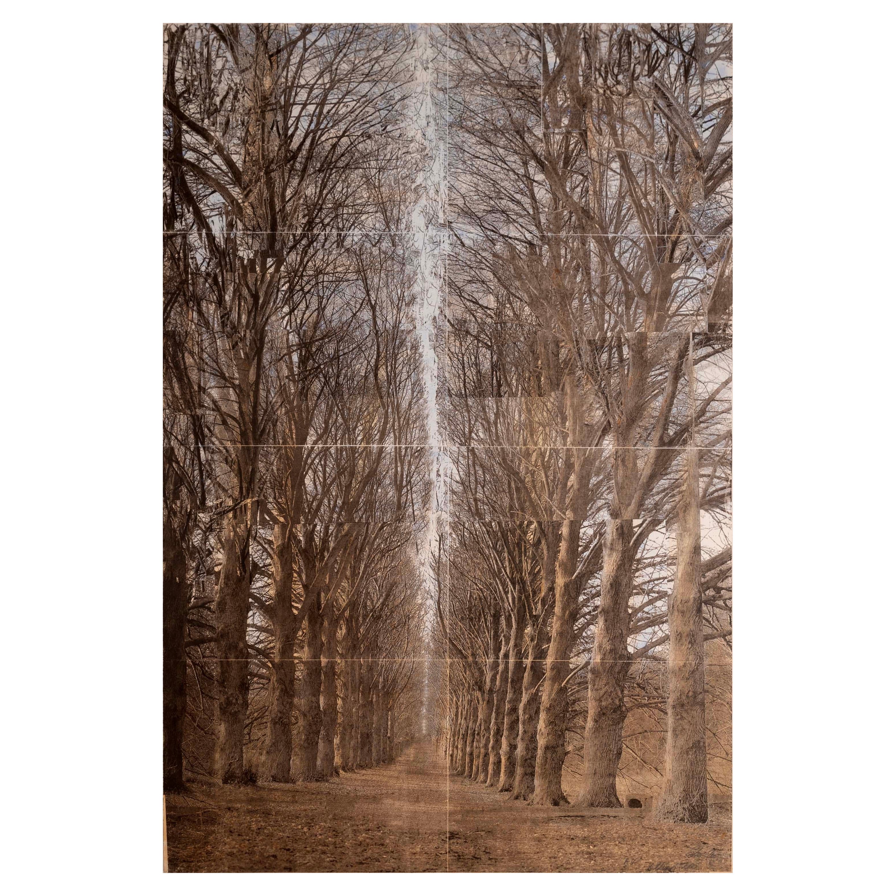 Signierte handkolorierte Lithographie von Esteban Chavez Allee Alley of Trees auf Papier im Angebot