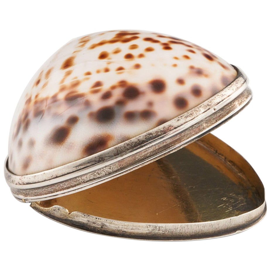 Cowrie Shell Snuff Box c1820 For Sale