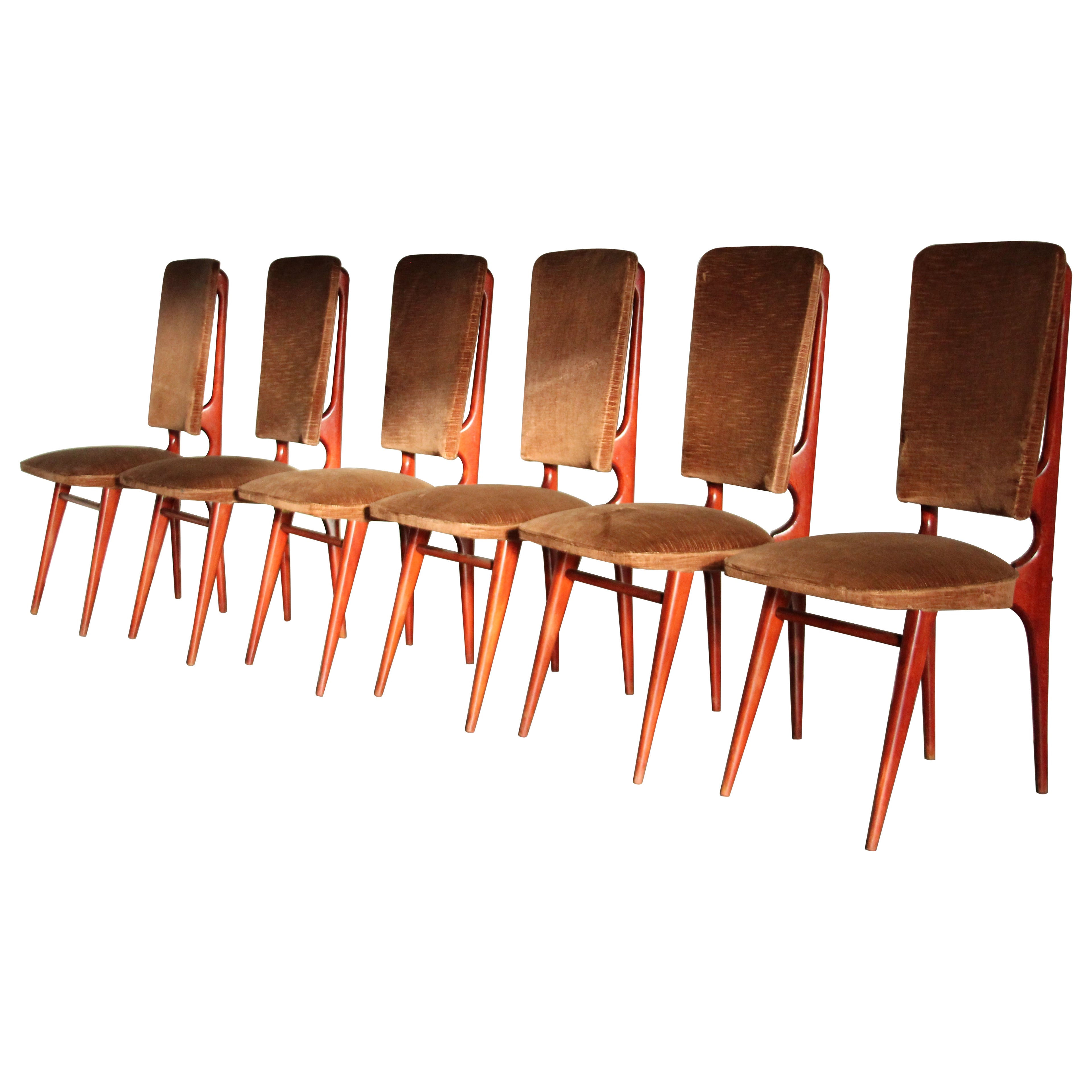 French Modernist Dining Chairs by Maison Stella, Set of 6, 1950s For Sale