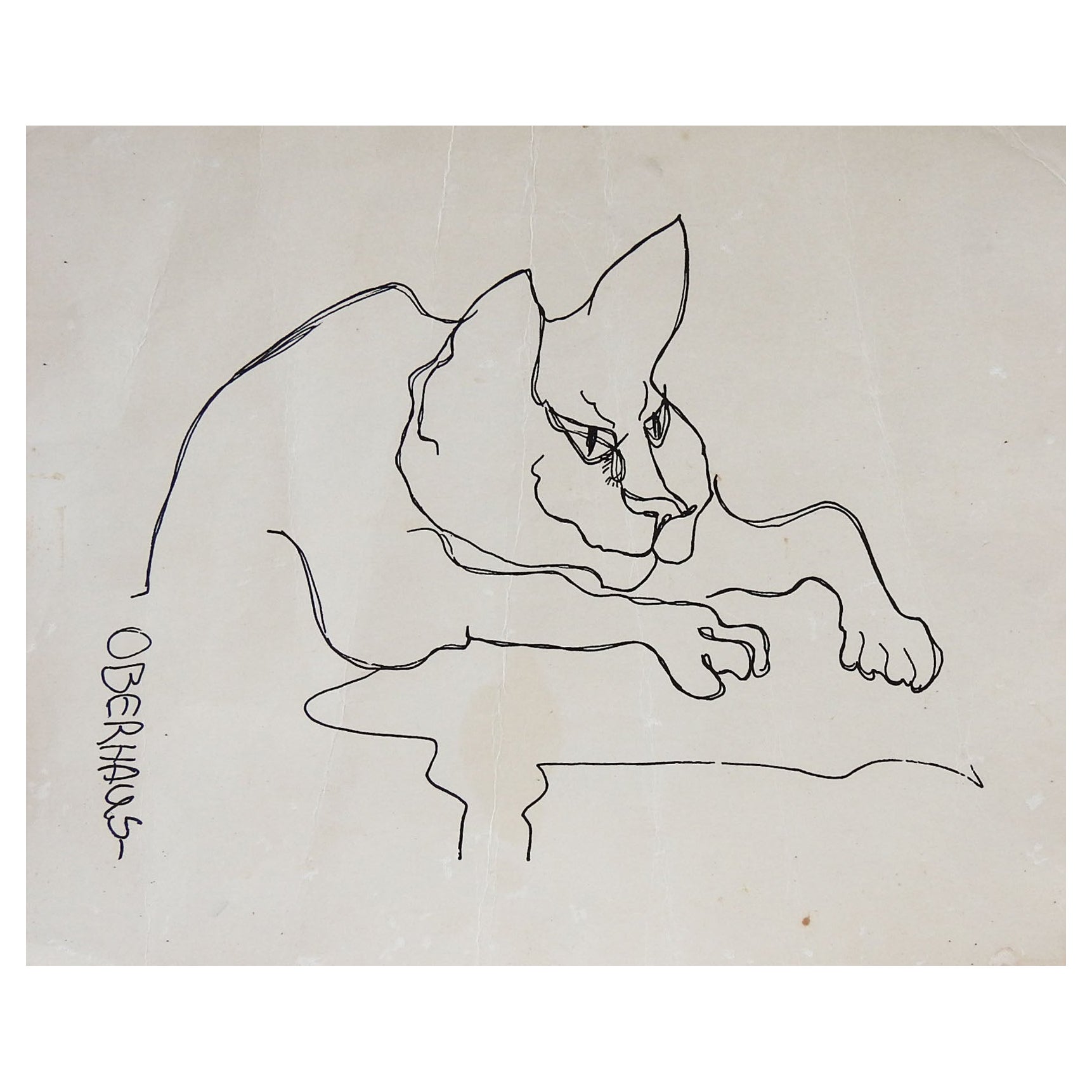 Vintage Patricia Oberhaus Cat Drawing