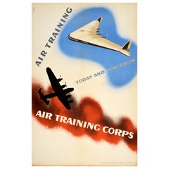 Original Vintage RAF Royal Air Force Recruitment Poster Air Force Training Corps