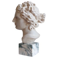 Venere Medici -testa scolpita su marmo bianco di Carrara -made in Italy