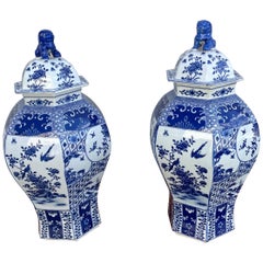 Large Pair of Blue & White Ginger Jars with Foo Dog Lids