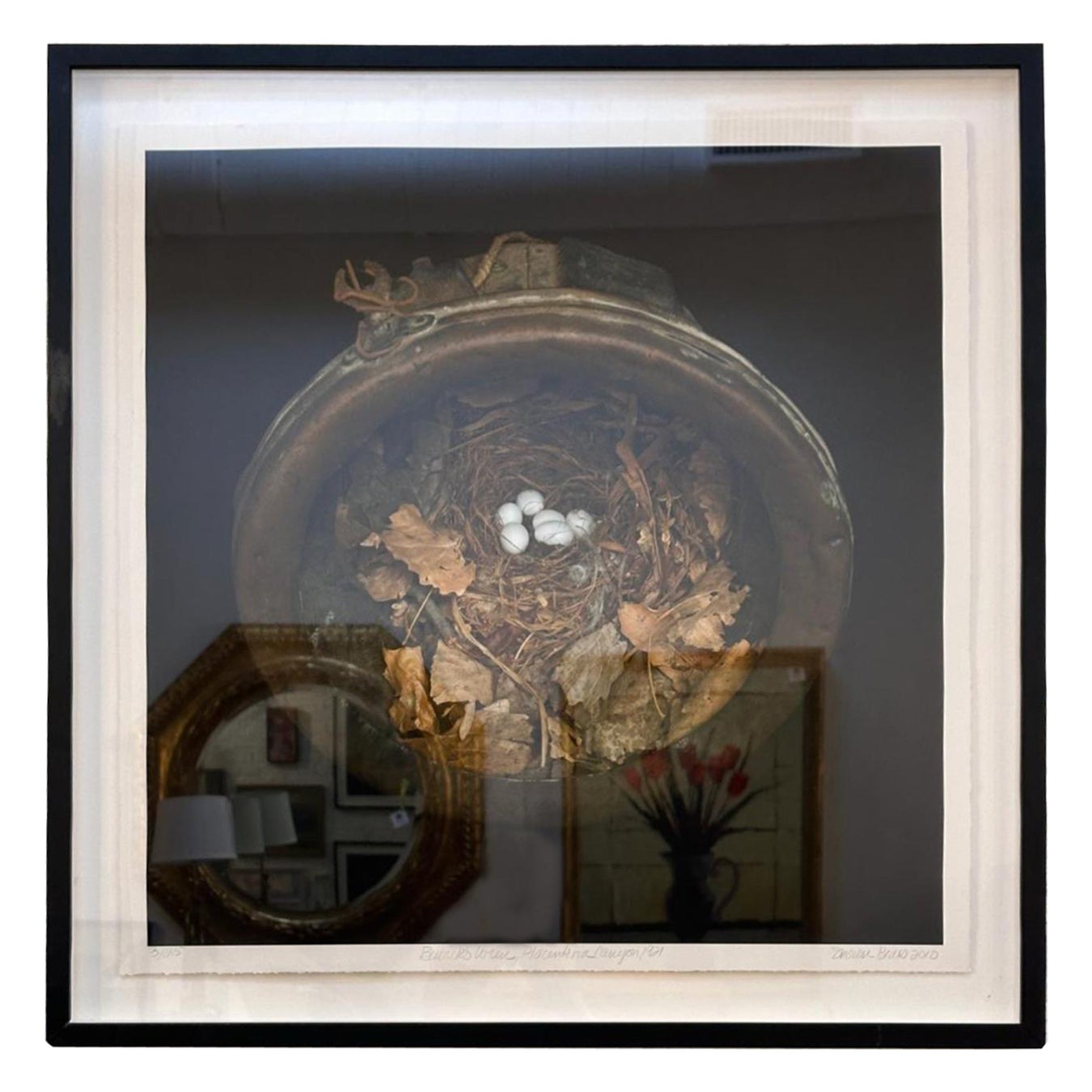 Sharon Beals Lithograph of a Bewicks Wren Nest For Sale