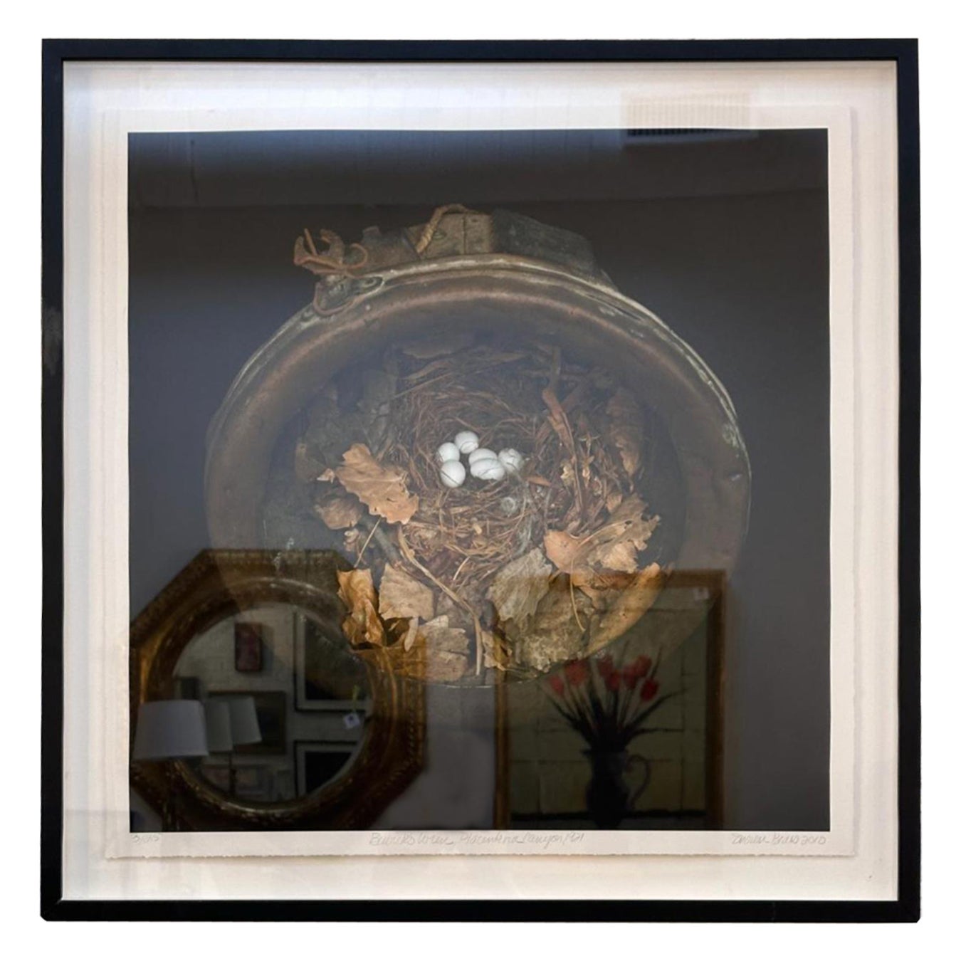 Litografia di Sharon Beals raffigurante un nido di scricciolo di Bewicks