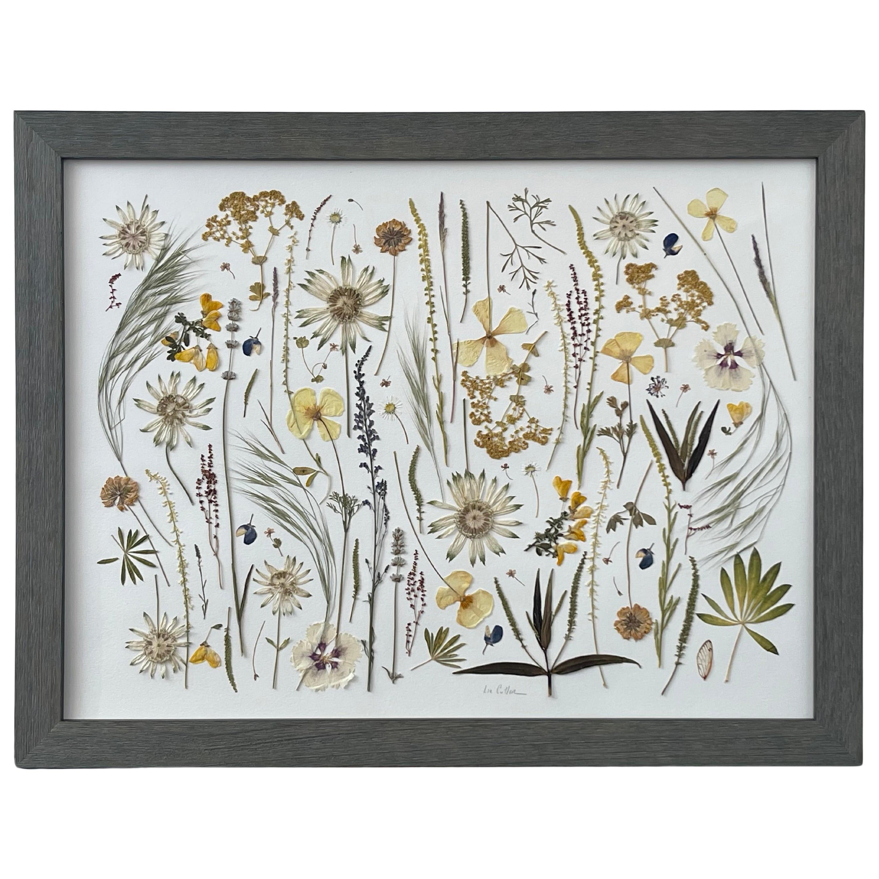 "New Zealand Magic" Pressed Botanical by Liz Cutler  For Sale